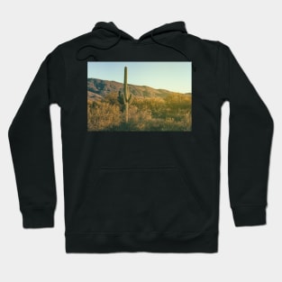 Sonoran Desert Hoodie